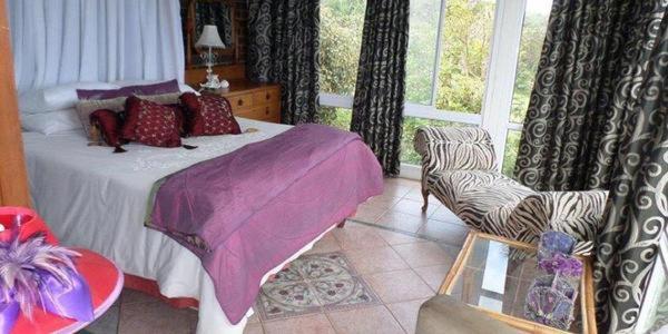谢普斯敦港Isigidi Beach House的卧室配有床、椅子和窗户。