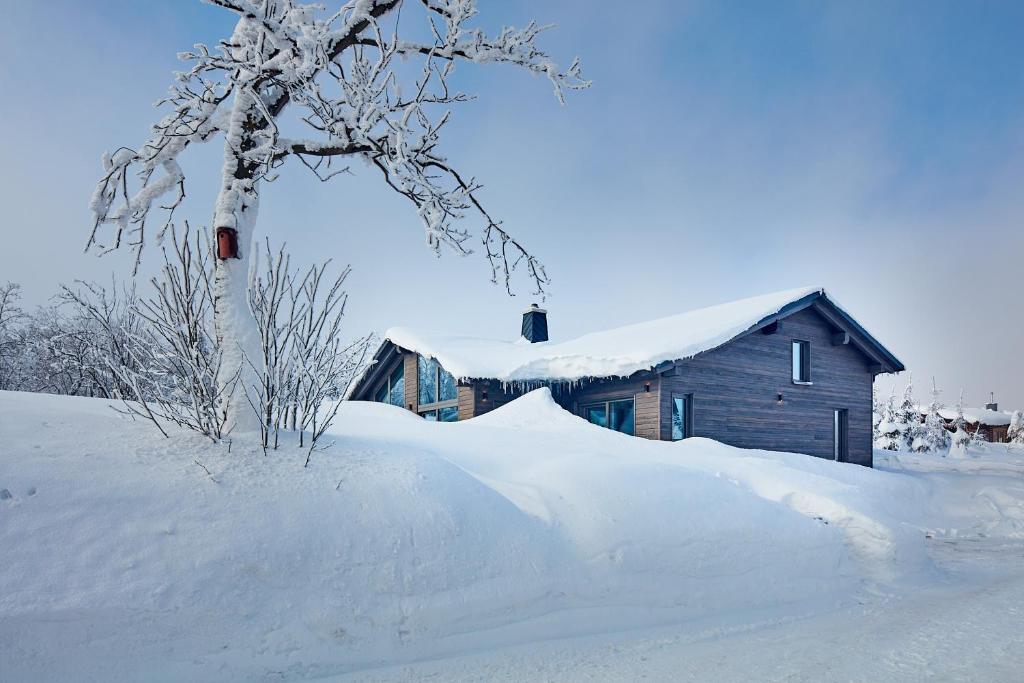 库罗阿尔滕堡Beerenhaus的一堆积雪覆盖着的房子