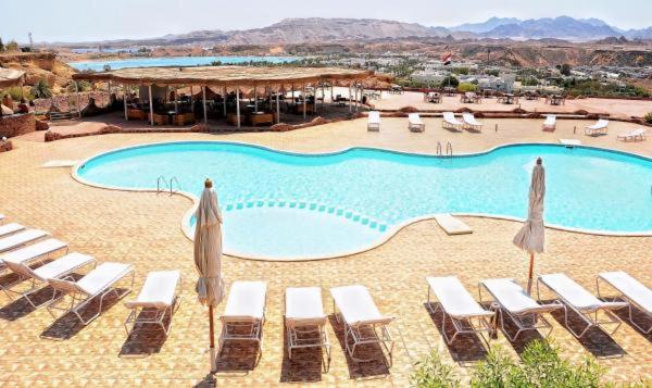 沙姆沙伊赫Aida Hotel Sharm El Sheikh的度假村内带椅子和遮阳伞的游泳池