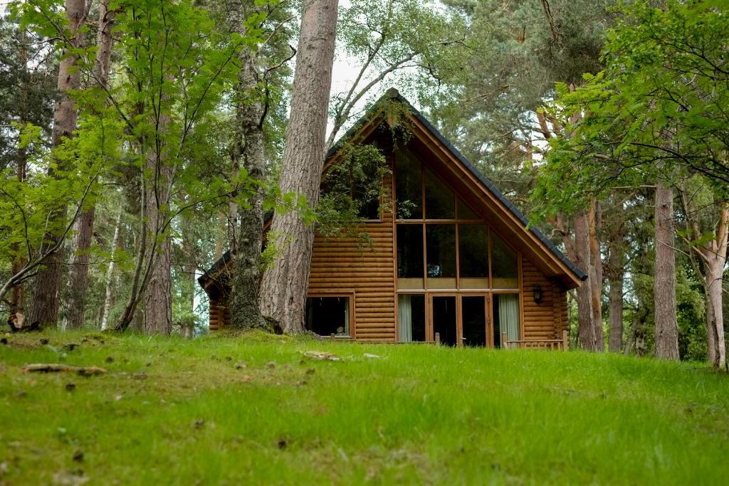 阿维莫尔Macdonald Woodland Lodges at Macdonald Aviemore Resort的森林中间的小木屋