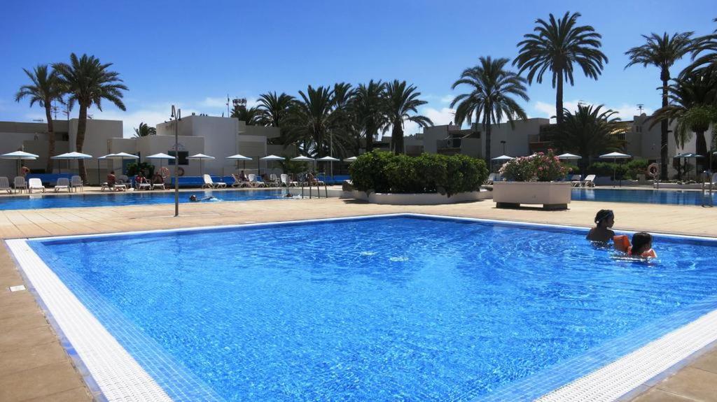 阿罗纳Primavera appartement tot 7 personen的两人在度假村的游泳池里