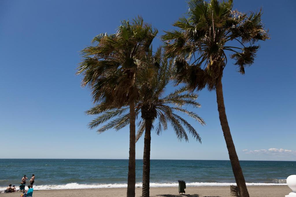 莫切Apartamento Solárium的两棵棕榈树,在海滩上