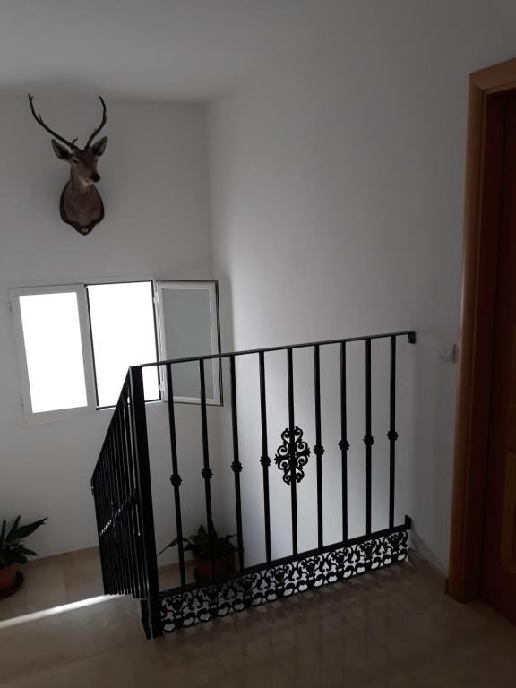 安特克拉Ático céntrico的楼梯,有黑色栏杆在房间里