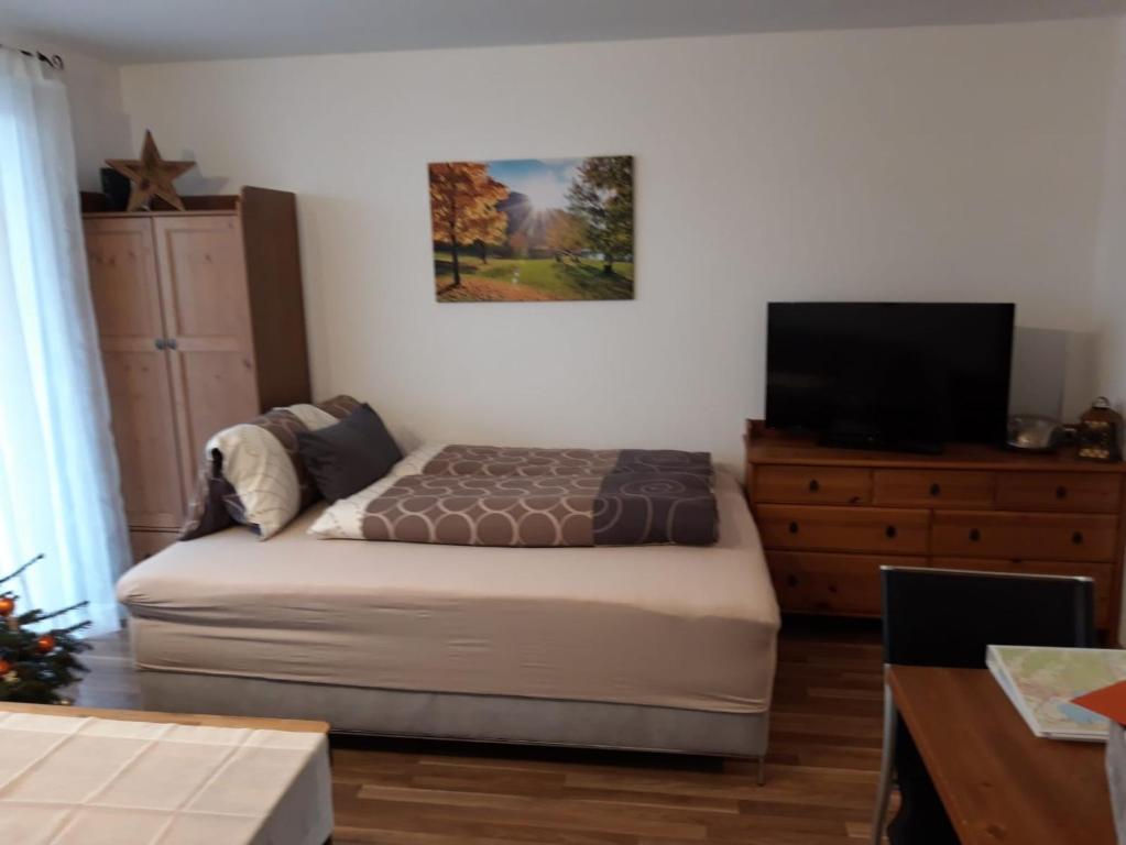滨湖采尔Apartment Kendlbacher的一间卧室配有一张床,梳妆台上配有电视