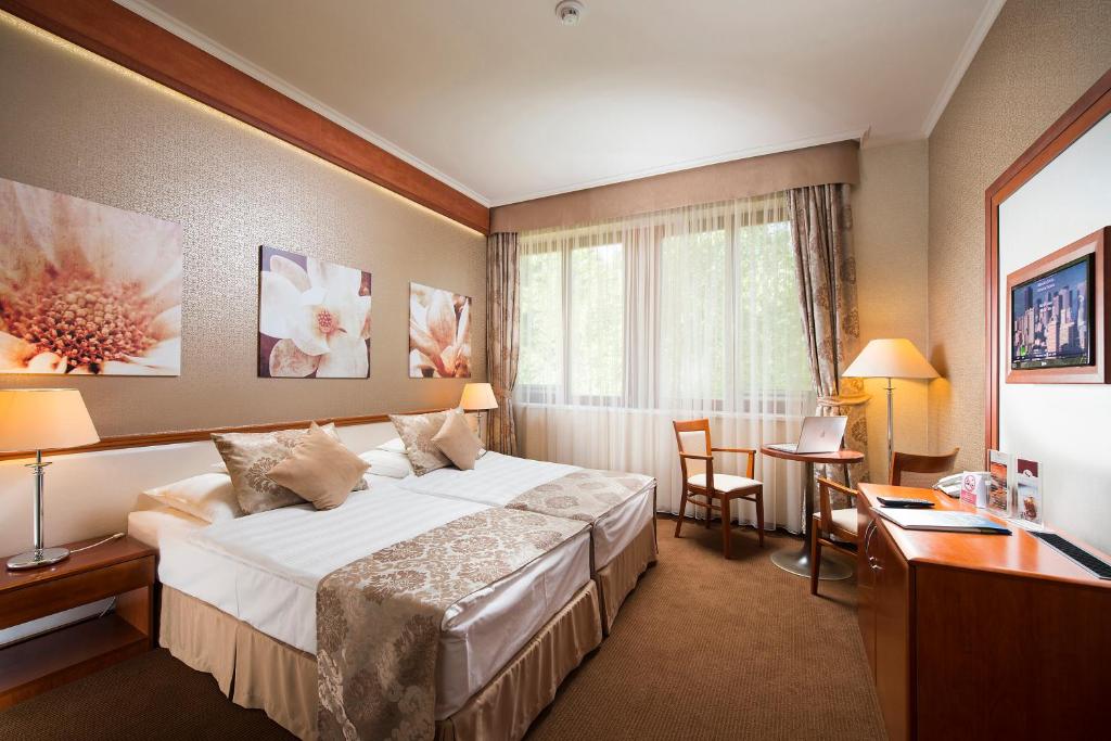 尼赖吉哈佐亚万缇诺斯酒店的配有一张床和一张书桌的酒店客房