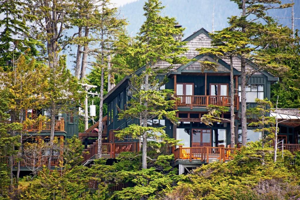托菲诺中部海滩旅舍的山丘上树木的房子