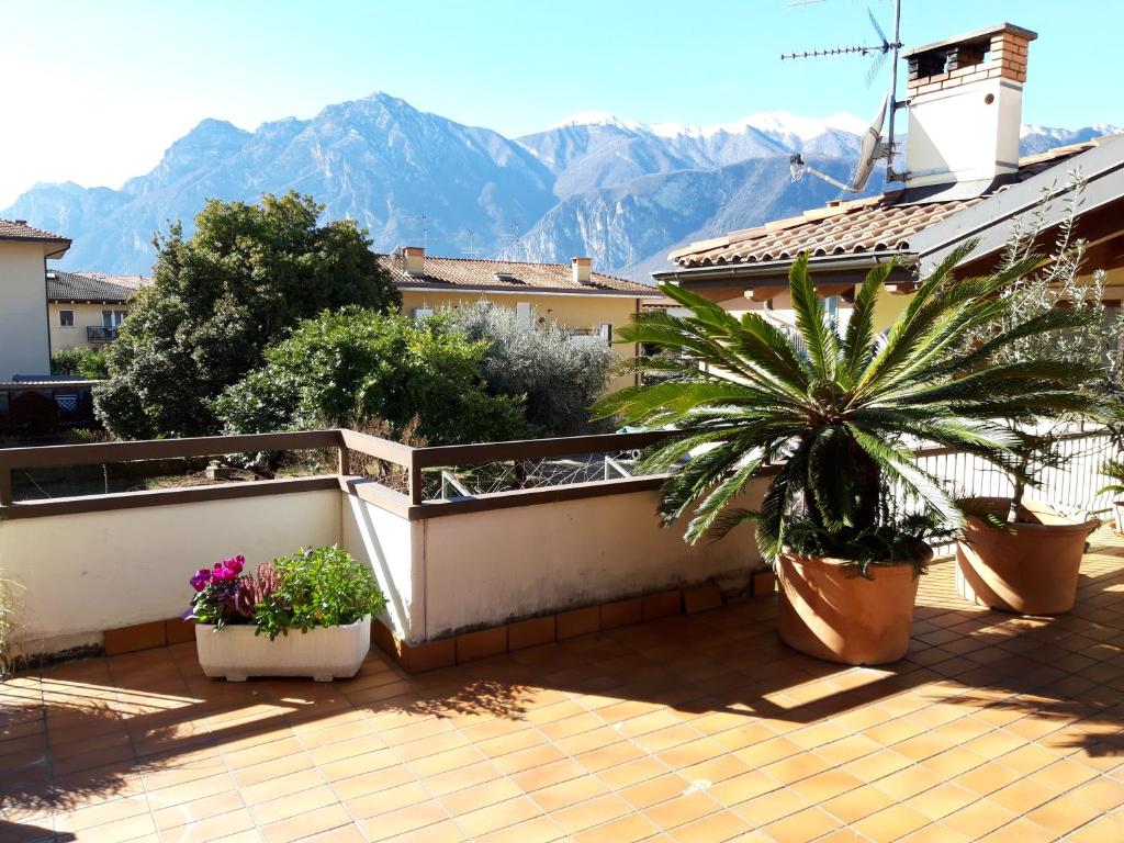 阿科Appartamento la Terrazza的阳台以盆栽植物和山脉为背景