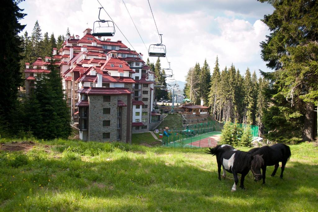 潘波洛沃卡梅利亚大厦酒店的两匹马站在滑雪缆车附近的草丛中