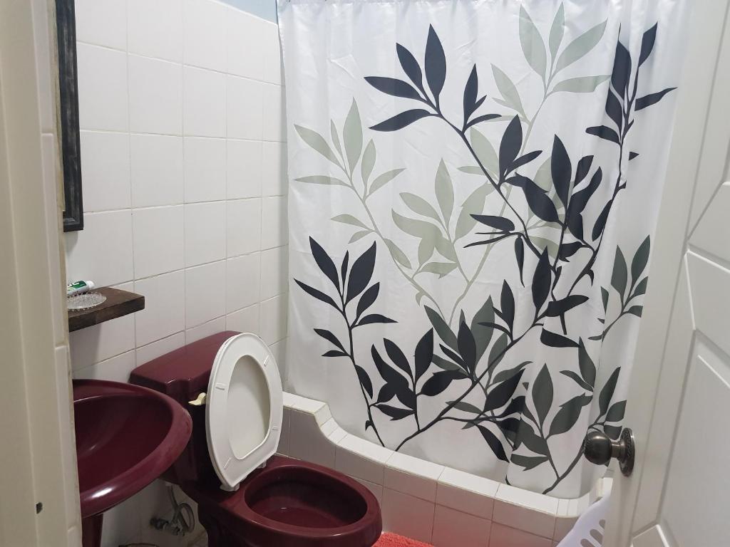 San Vicentelee's home2的浴室配有带卫生间的淋浴帘