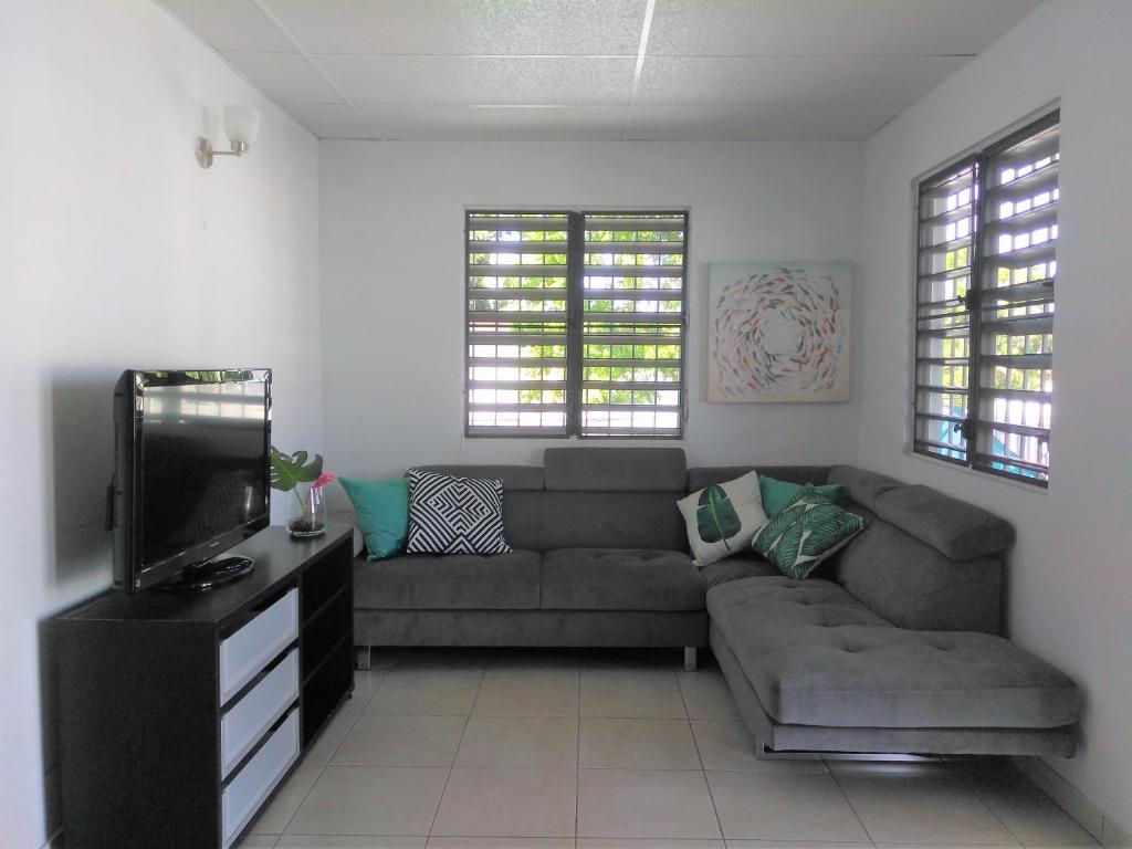 圣胡安Urban Terrace Apartment in San Juan的带沙发和电视的客厅
