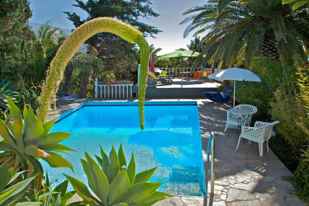 洛斯·亚诺斯·德·阿里丹CASA FLORES的花园中带水景的游泳池