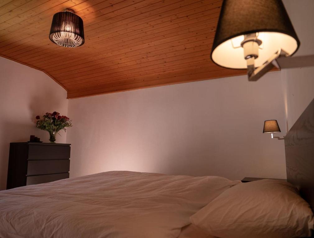 比维奥Ferienhaus Septimer的一间卧室配有一张带木制天花板和两个灯的床。