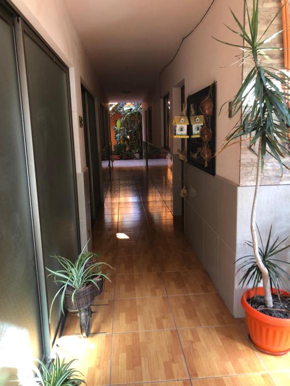 安托法加斯塔Casa Alejandra的地板上带盆栽的走廊