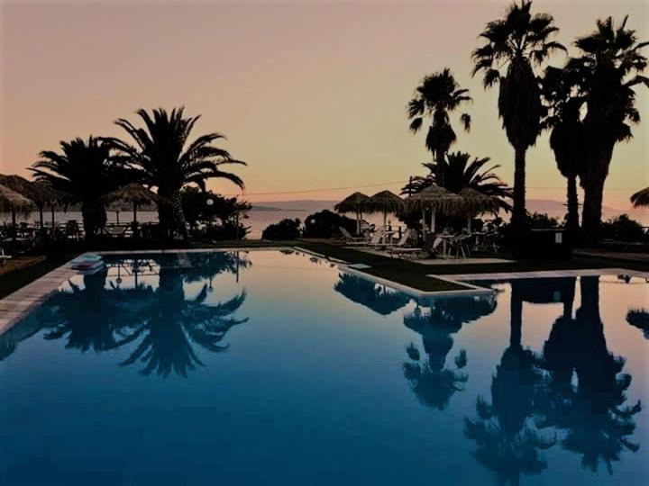 帕特雷Clara Resort的棕榈树和日落的游泳池