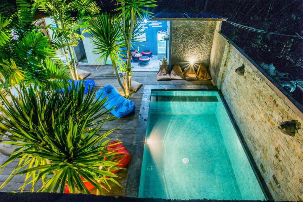 蓝梦岛舒巴旅馆的植物繁茂的庭院中间的游泳池