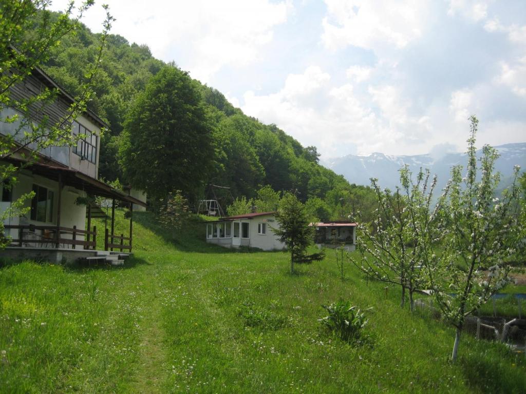 贝尔科维察Bungalows Zdravets的山地绿色田野的房子