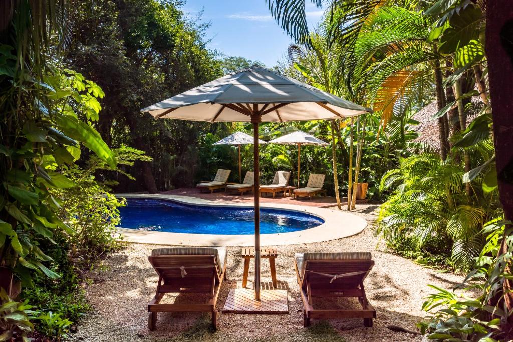 诺萨拉The Sunset Shack的游泳池旁的遮阳伞和椅子