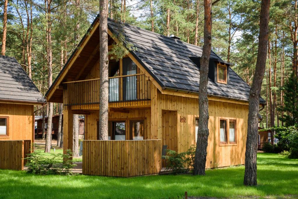 博尔斯克Domki Largo nad Jeziorem Wdzydze的树林里的木小屋