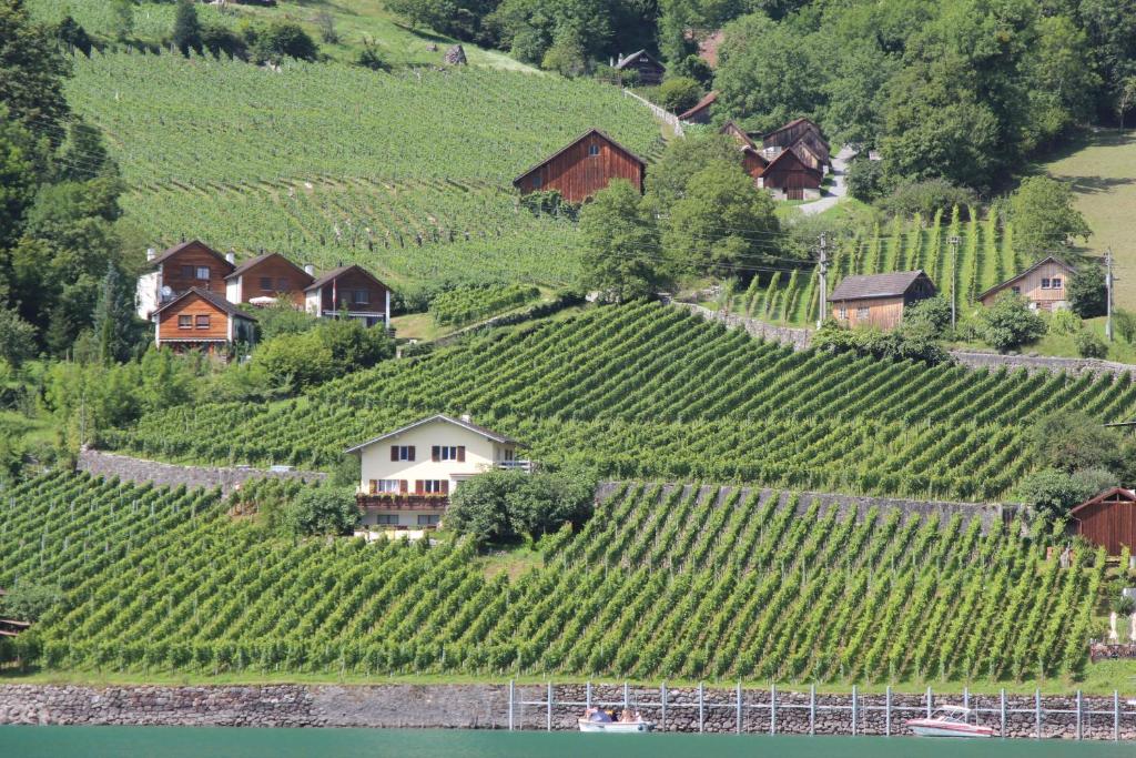 QuintenHaus Bünten的山丘上的村庄,拥有葡萄园和房屋