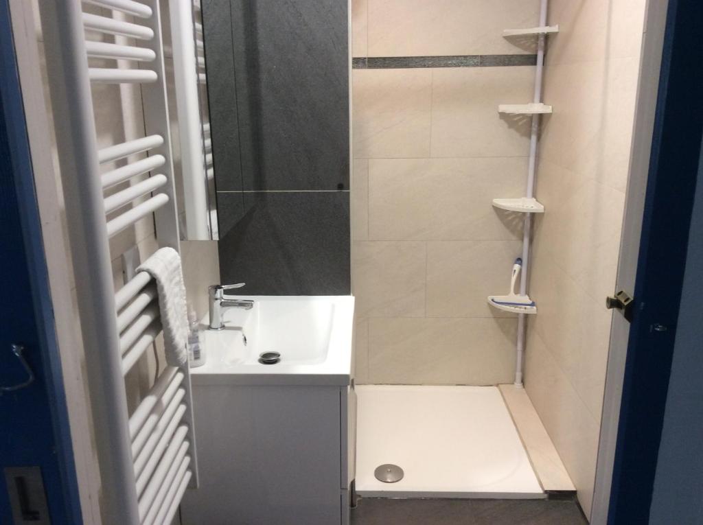 昂蒂布Appartement de vacances au 1er étage 45m2的一间带水槽和淋浴的小浴室