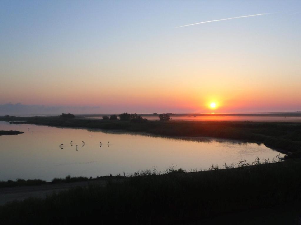 圣马迪拉莫chambre les flamants vue sur les étangs petit déjeuner compris的水中鸟儿的日落