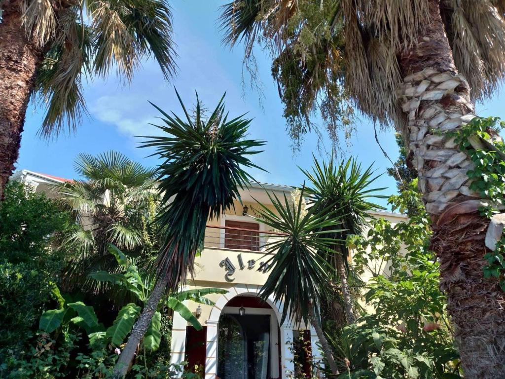 阿查拉维ILENA HOTEL的前面有棕榈树的房子