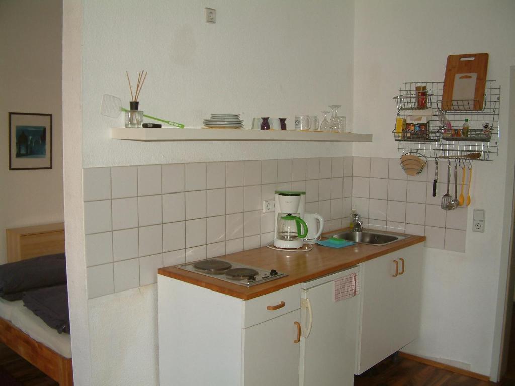 德累斯顿奥勒膳食公寓的一个带柜台和水槽的小厨房