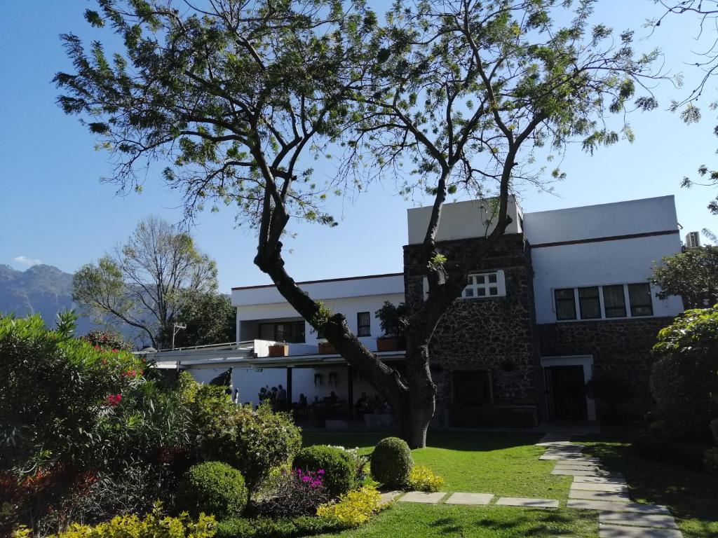 迪坡斯特兰费尔南达之家精品酒店的前面有一棵树的房子