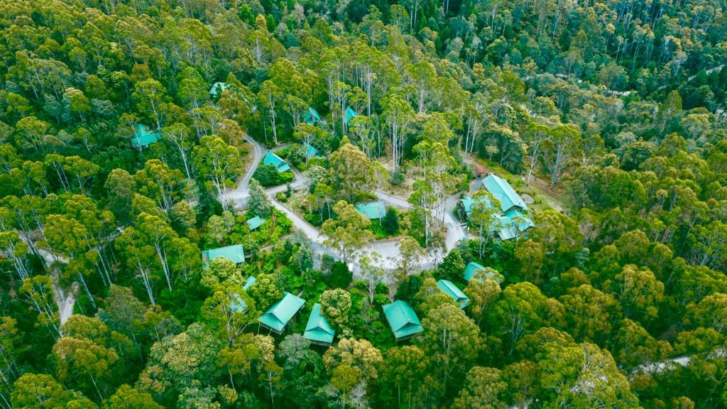 Moina莱蒙泰野外酒店的森林中间房屋的空中景观