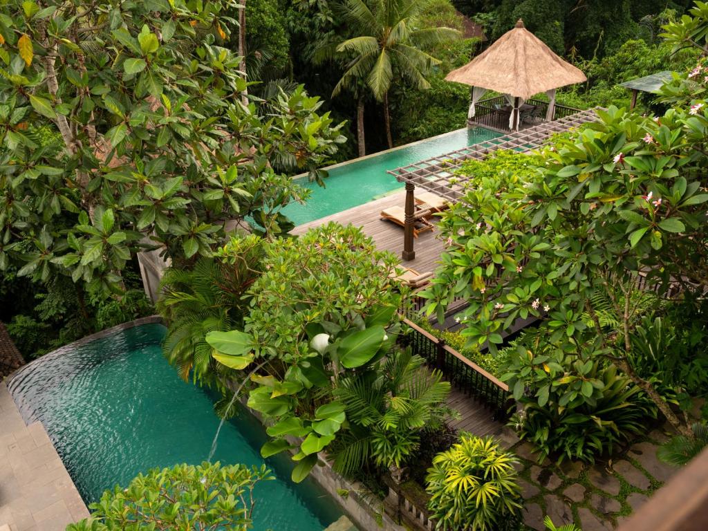 乌布阿迪瓦纳杰姆巴万度假村的森林中游泳池的顶部景色