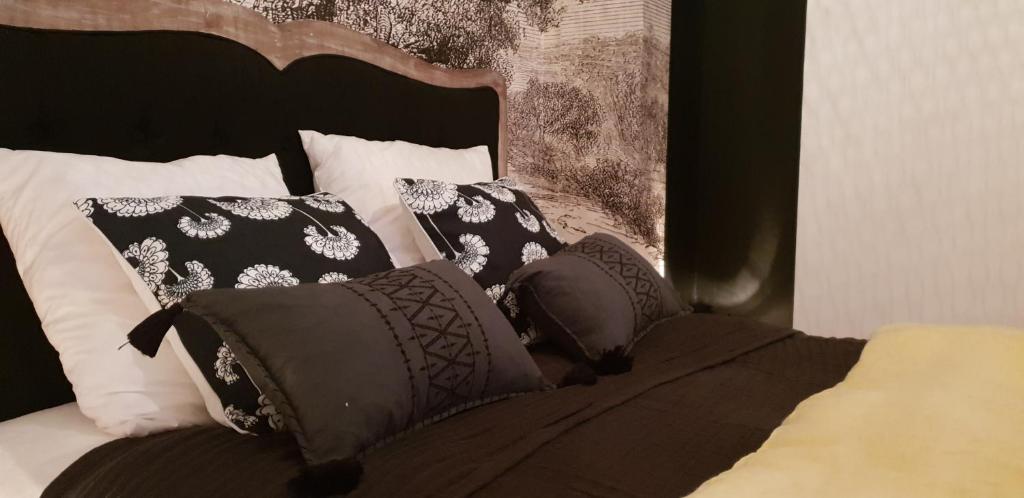 阿宰勒里多NATURE & CHATEAUX的一张带黑白枕头的床