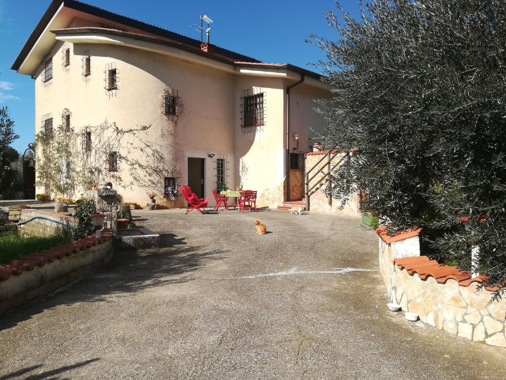 SonninoCasa fra gli ulivi di Giuseppe的车道上有一只猫的房子