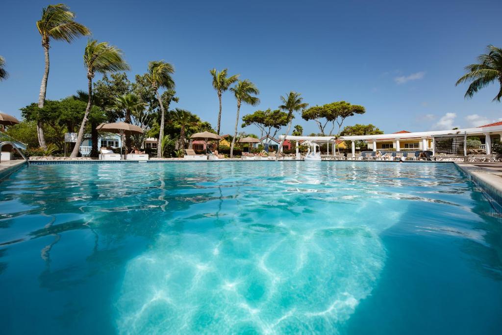 威廉斯塔德利文斯敦扬泰尔度假酒店的棕榈树度假村的游泳池