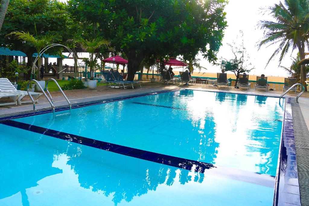 尼甘布黄玉海滩酒店的一个带椅子和树木的大型蓝色游泳池