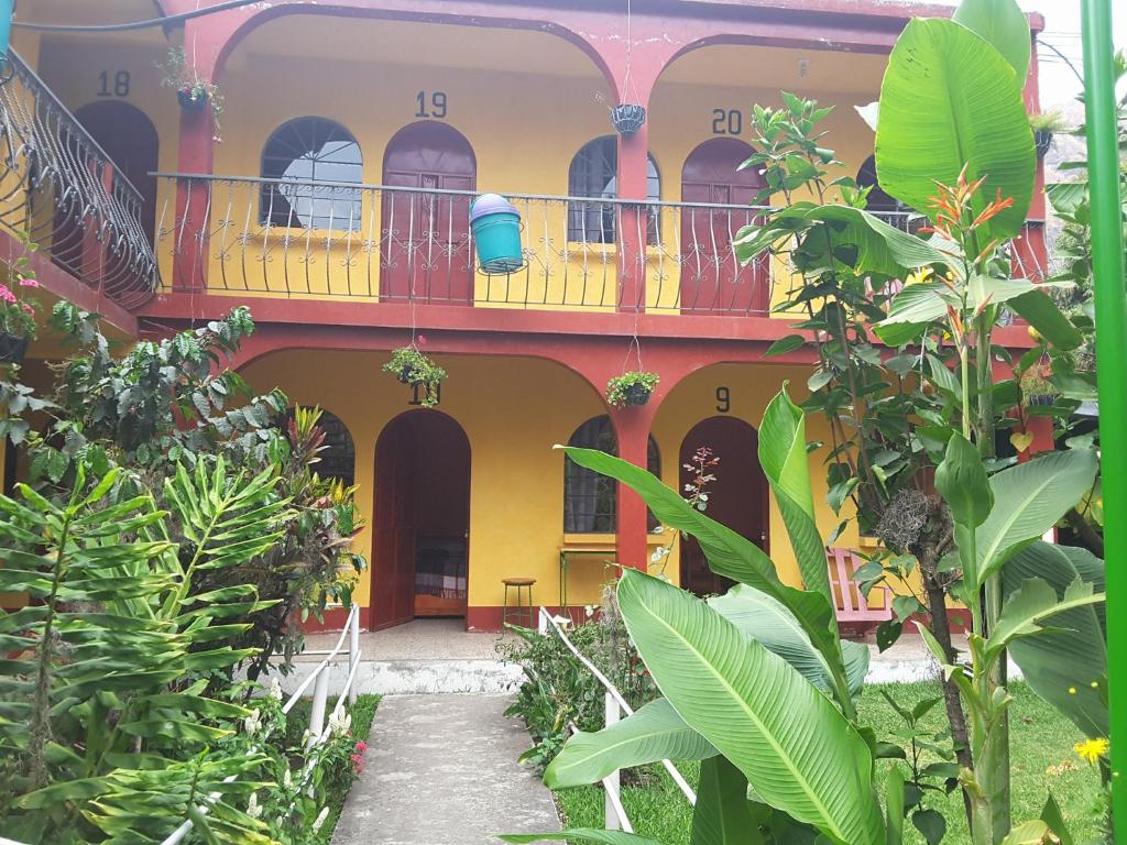 帕纳哈切尔Hospedaje Santo Domingo的带阳台和植物的大型建筑