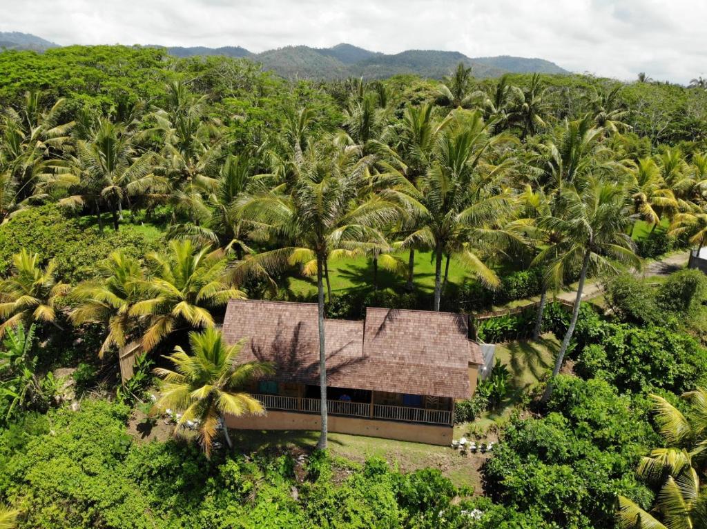 塞莱马德加Cliff House Balian的棕榈树林中房屋的空中景观