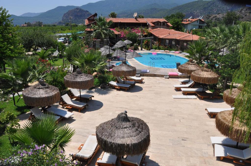 达利安伯浩斯度假酒店的一个带椅子和遮阳伞的度假村和一个游泳池