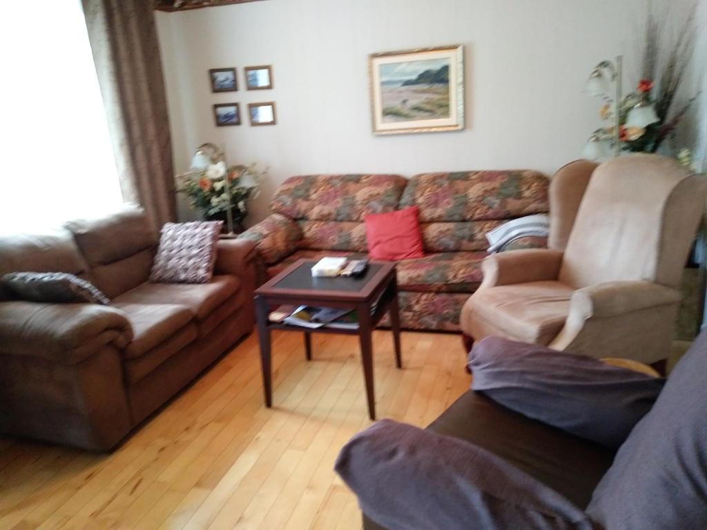 Petit-SaguenayGîte Marie-Claire的客厅配有沙发和桌子
