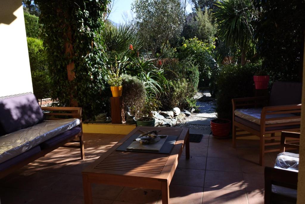 帕特里莫尼奥Patrimonio chambre avec commodités chez l’habitant的庭院里设有桌子和一只猫躺在地上