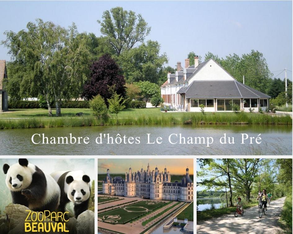 吉尔维斯Le Champ du Pré的房屋和熊猫照片的拼合