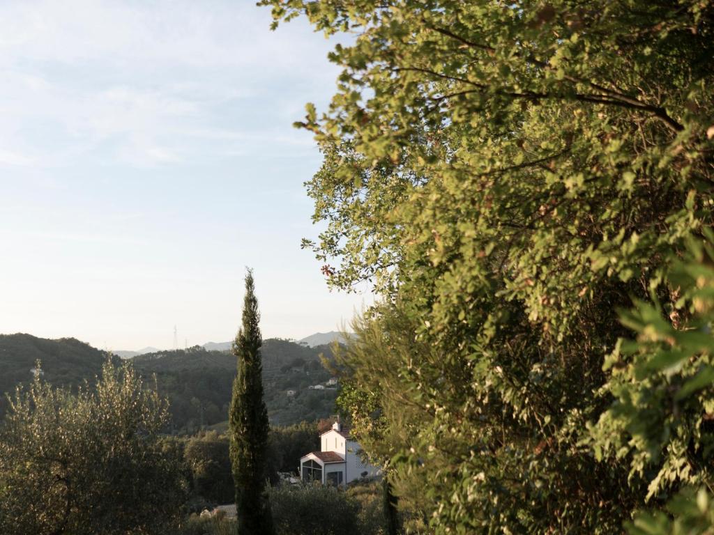 萨尔扎纳B&B La Fustaia的透过树林欣赏房子的景色