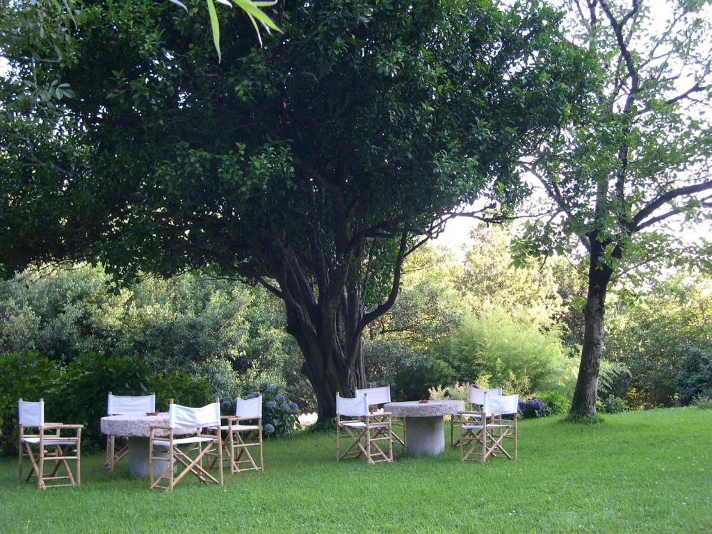 奥亚Budiño de Serraseca的树下一组椅子和一张桌子