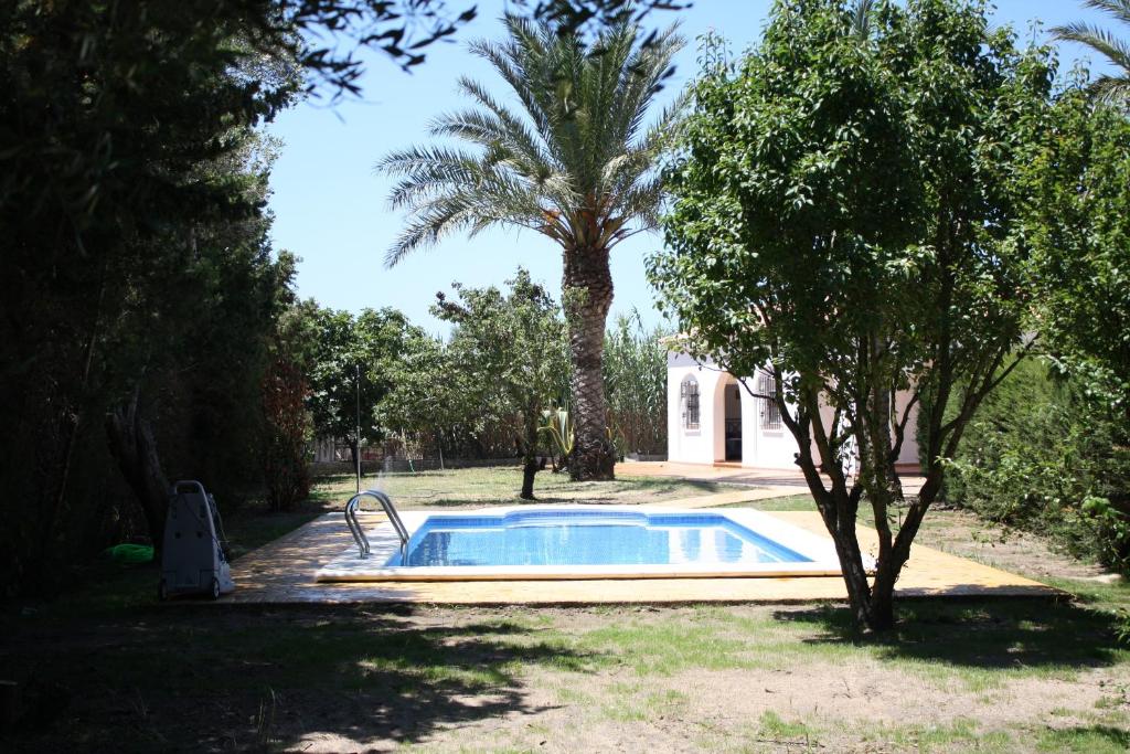 扎霍拉Villa Ana的棕榈树庭院中的游泳池