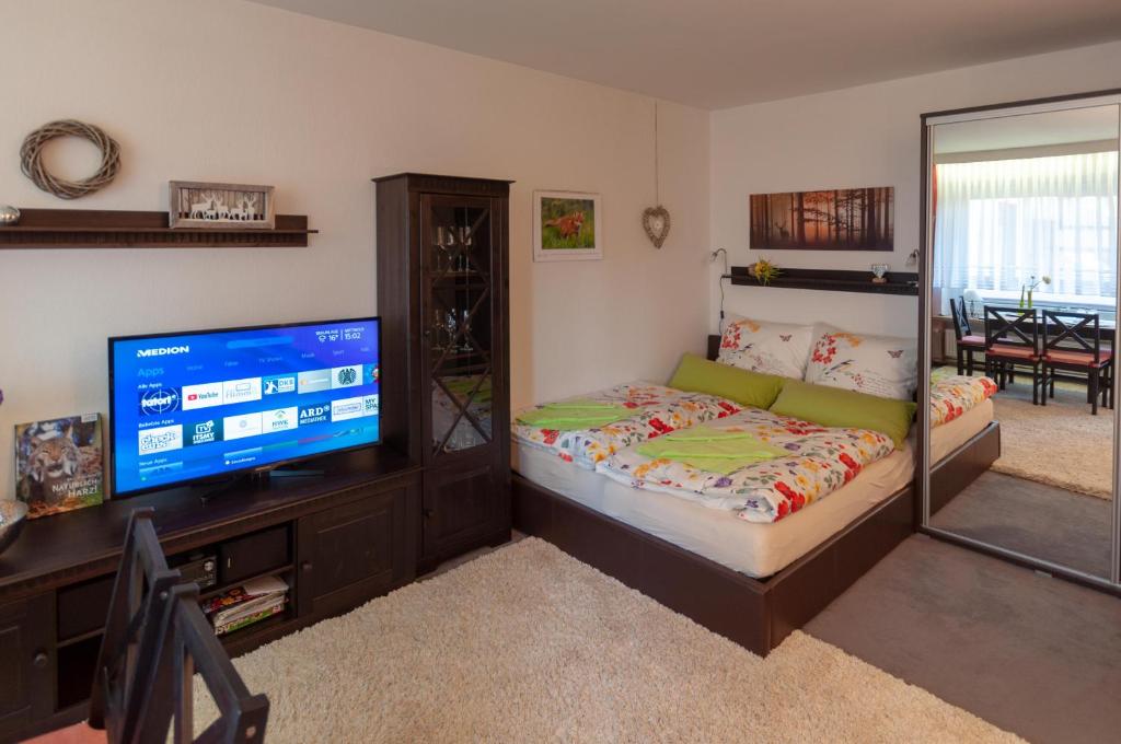 布劳恩拉格Harznest的一间卧室配有一张床和一台平面电视