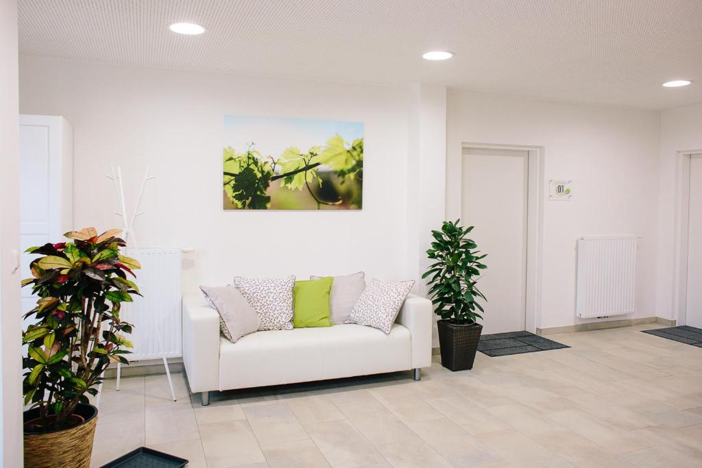 埃伦豪森Steira-Studios的客厅配有白色沙发和两株植物