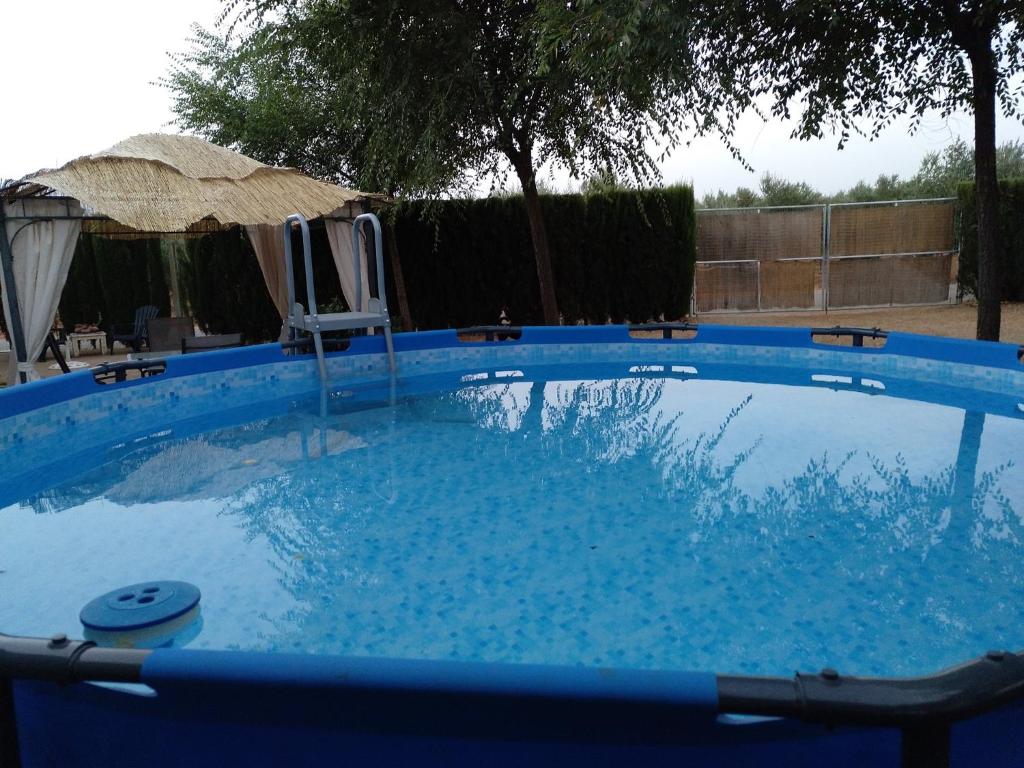 马尔莫莱霍La Casa del Abuelo Jose的院子里的大型蓝色游泳池