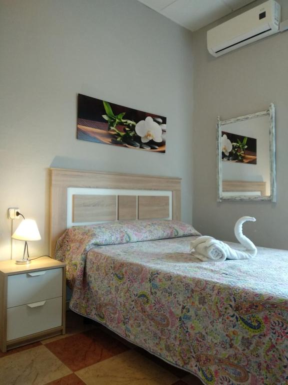 塞维利亚里奥索尔旅馆的卧室配有一张床,上面放着一只猫