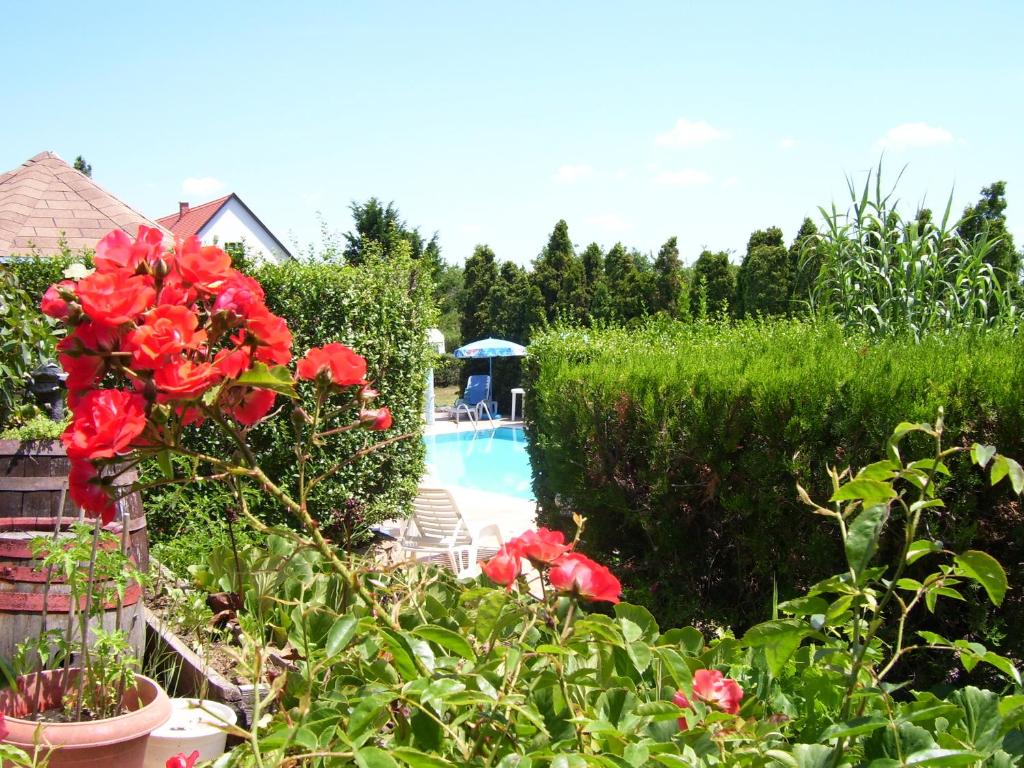 保洛兹瑙克Mandel Apartment的一座种有红色鲜花的花园和一个游泳池