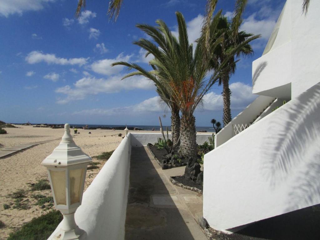 科蒂略Apartamento Nire Lula en la misma playa的棕榈树海滩旁的白色墙壁