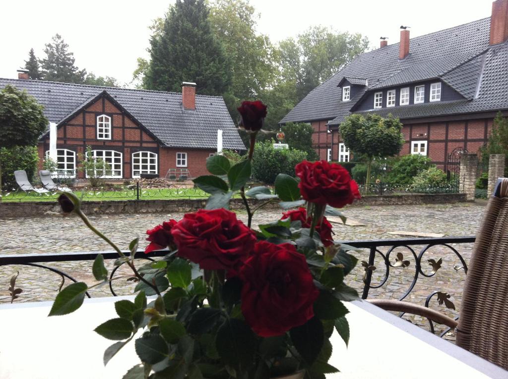 Volksedas "Village House" in Volkse的玫瑰花瓶坐在房子前面的桌子上